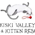 Kiski Valley cat & kitten rescue logo